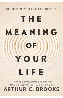 The Meaning of Your Life - Finding Purpose in an Age of Emptiness